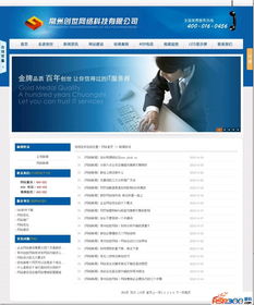 ASP精品 一款藍(lán)色漂亮的網(wǎng)絡(luò)科技公司源碼，助力技術(shù)開(kāi)發(fā)新高度